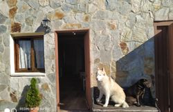 La Quintana de Bayas vacaciones en Bayas con perros alojamientos Asturias, costa-asturias admiten mascotas casasrurales dormir con tu perro semana santa