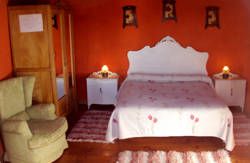 se admiten mascotas perros en Casa Rural Druna Santa Gadea de Alfoz Burgos 5