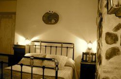 se admiten mascotas perros en Casa Rural Abuela Maxi Riolobos C&aacute;ceres 4