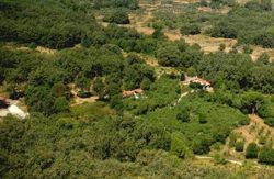 se admiten mascotas perros en Finca El Becerril Acebo C&aacute;ceres 2