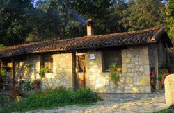 se admiten mascotas perros en Finca El Becerril Acebo C&aacute;ceres 3