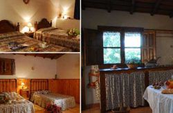 se admiten mascotas perros en Finca El Becerril Acebo C&aacute;ceres 5