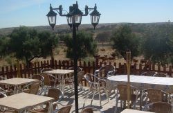 se admiten mascotas perros en Casa rural 