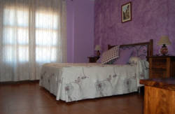 se admiten mascotas perros en Casa Rural Beatriz Torrecillas de la Tiesa C&aacute;ceres 5