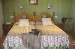 se admiten mascotas perros en Finca Santa Marta Trujillo C&aacute;ceres 5