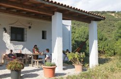 se admiten mascotas perros en Casas Karen Los Caños de Meca Andalucia, Cádiz, costa-luz 2