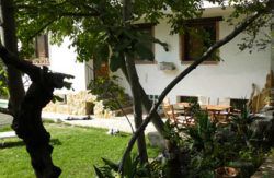 se admiten mascotas perros en Casa Rural La Huerta del Cura Nig&uuml;elas Granada, costa-tropical 2