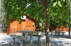 se admiten mascotas perros en Caba&ntilde;as Negrat&iacute;n Cuevas del Campo Granada 2