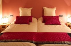 se admiten mascotas perros en El Acebo de Casa Muria Renanue - Bisaurri Nieve, Huesca, Pirineos 4