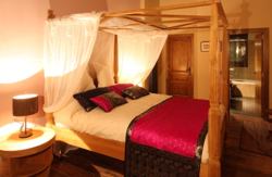 se admiten mascotas perros en El Acebo de Casa Muria Renanue - Bisaurri Nieve, Huesca, Pirineos 5