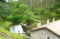 se admiten mascotas perros en Molino de Cerceda Cerceda recomendados, Galicia, La Coru&ntilde;a, rias-gallegas 2