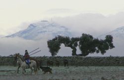 se admiten mascotas perros en Faenas Camperas Sando Salamanca 2