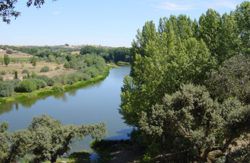 se admiten mascotas perros en CTR La Torrecilla San Pedro del Valle Castilla-y-Leon, Salamanca 2