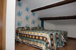 se admiten mascotas perros en La Cenicienta Sancti Spiritus Sancti Spiritus Salamanca 5