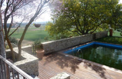 se admiten mascotas perros en La Ventanica del Tormes Juzbado Salamanca 2