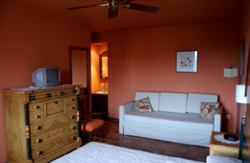 se admiten mascotas perros en La Dehesa de Cabanillas Cabanillas del Monte Segovia 5