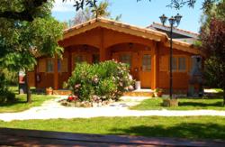 se admiten mascotas perros en Complejo Rural Wellness Spa &ldquo;Entre Viejos Olivos&rdquo; Benicolet Comunidad Valenciana, Valencia, costa-valencia 3