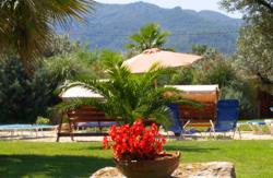 se admiten mascotas perros en Complejo Rural Wellness Spa &ldquo;Entre Viejos Olivos&rdquo; Benicolet Comunidad Valenciana, Valencia, costa-valencia 4