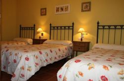 se admiten mascotas perros en Mas de La Pinaeta G&aacute;tova Valencia 3