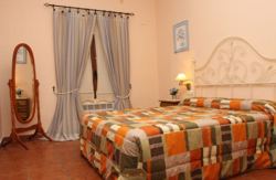 se admiten mascotas perros en Mas de La Pinaeta G&aacute;tova Valencia 4