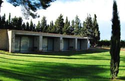 se admiten mascotas perros en Mas&iacute;a el Ferraj&oacute;n Chiva Valencia 2