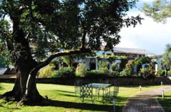 se admiten mascotas perros en Mas&iacute;a el Ferraj&oacute;n Chiva Valencia 3