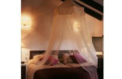 se admiten mascotas perros en Mas&iacute;a el Ferraj&oacute;n Chiva Valencia 5