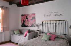 se admiten mascotas perros en Casa Lindo Hu&eacute;sped Villasexmir Castilla-y-Leon, Valladolid 3