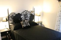 se admiten mascotas perros en Casa Rural Madagascar Villasexmir Valladolid 4