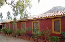 se admiten mascotas perros en La Casa del Procurador Villena Alicante 2