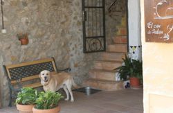 Casas rurales con perros en Cataluña  El Cau de Palau Casa rural playa y montaña escapada con perro a Palau-saverdera viajes a Gerona, costa-brava vacaciones con mascotas verano