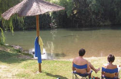 se admiten mascotas perros en Casa Rural Ahora Cortes de la Frontera M&aacute;laga 4