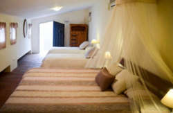 se admiten mascotas perros en Finca Colica C&oacute;mpeta recomendados, M&aacute;laga 3