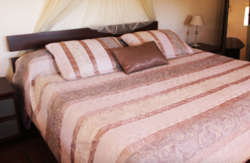 se admiten mascotas perros en Finca Colica C&oacute;mpeta recomendados, M&aacute;laga 4