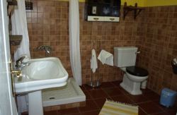 se admiten mascotas perros en Finca La Moraleda Pizarra M&aacute;laga, semana-santa 4