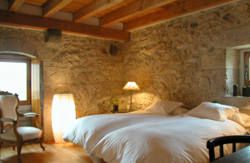 se admiten mascotas perros en Casa Rural Azpikoetxea Etxarri Larraun Navarra 5