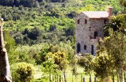 se admiten mascotas perros en La Torre del Valent L&acute;Aleixar recomendados, Tarragona, Costa-dorada 2